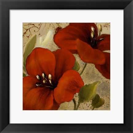 Framed Bahama Flower II Print