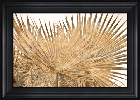 Framed Dry Palm Leaves Panel Print