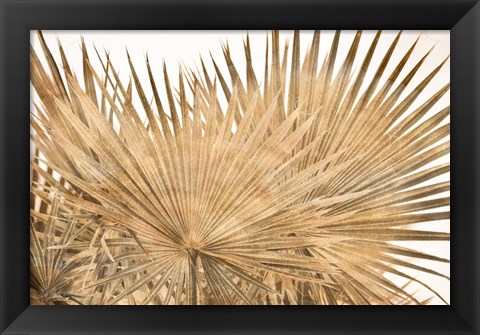 Framed Dry Palm Leaves Panel Print