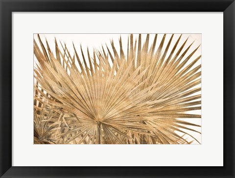 Framed Dry Palm Leaves Panel Print