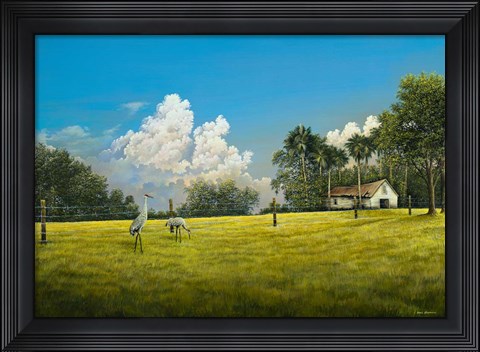 Framed Crane Field Print
