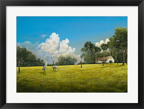 Framed Crane Field Print