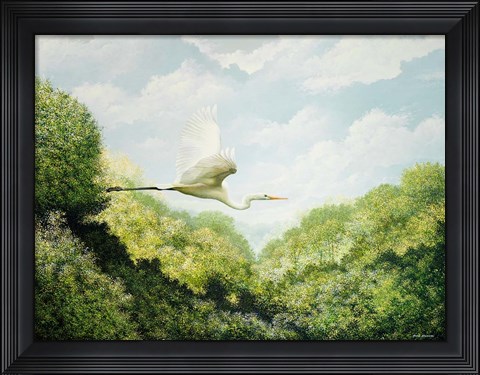 Framed Egret Print