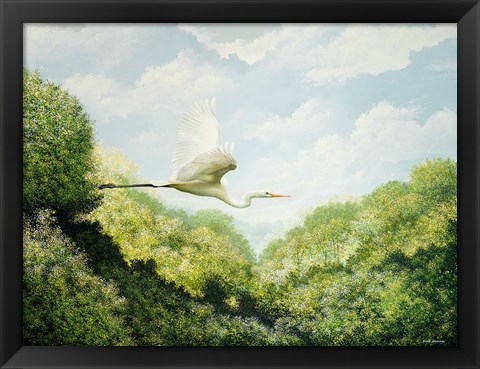 Framed Egret Print