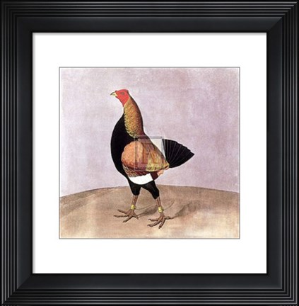 Framed Enomenon Print