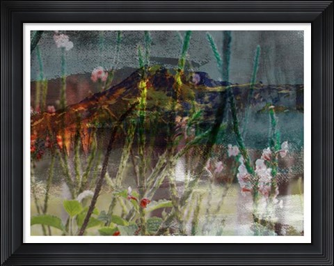 Framed Mountain Wildflowers I Print
