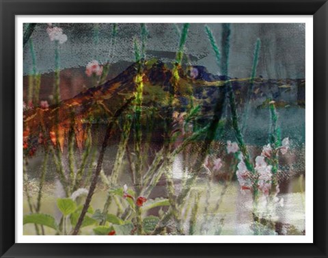 Framed Mountain Wildflowers I Print