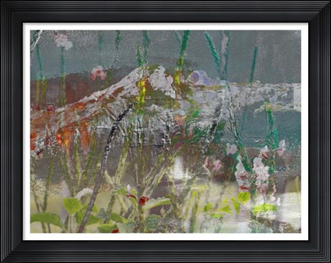 Framed Mountain Wildflowers II Print