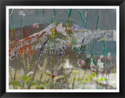 Framed Mountain Wildflowers II Print