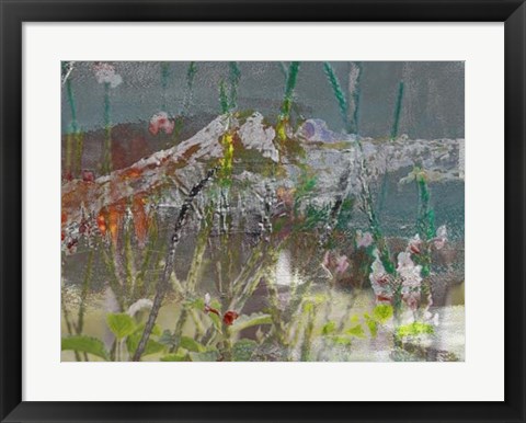 Framed Mountain Wildflowers II Print