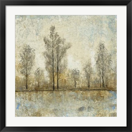 Framed Quiet Nature IV Print