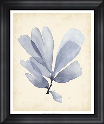 Framed Watercolor Sea Grass II Print