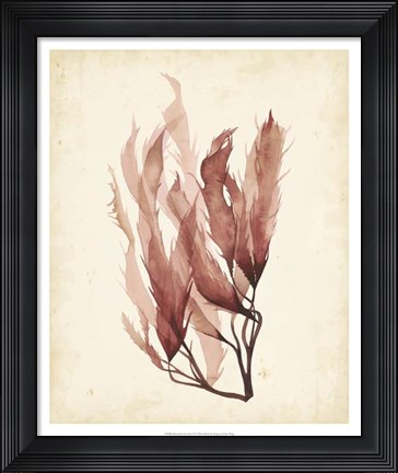 Framed Watercolor Sea Grass IV Print