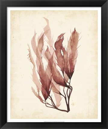 Framed Watercolor Sea Grass IV Print