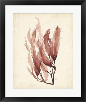 Framed Watercolor Sea Grass IV Print