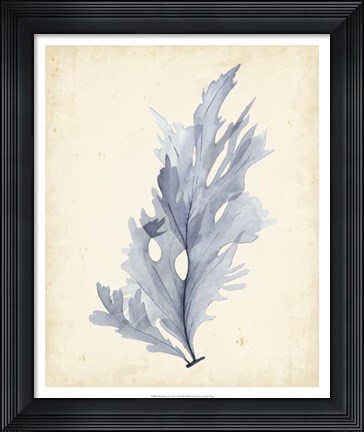 Framed Watercolor Sea Grass VI Print