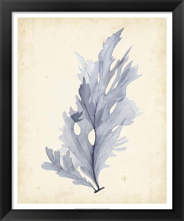 Framed Watercolor Sea Grass VI Print