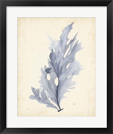 Framed Watercolor Sea Grass VI Print