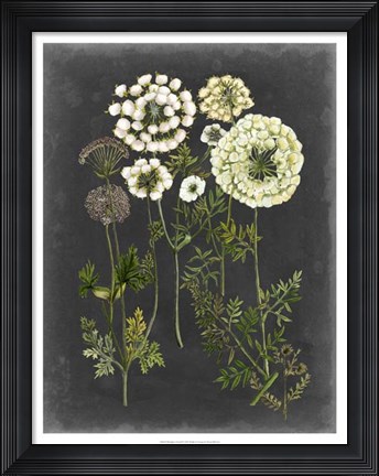 Framed Bookplate Floral II Print