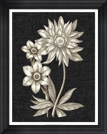 Framed Dramatic Chintz II Print