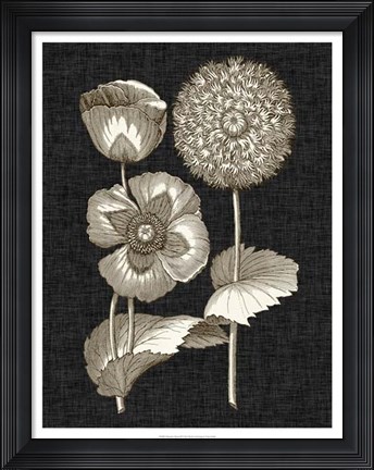 Framed Dramatic Chintz III Print