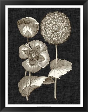 Framed Dramatic Chintz III Print