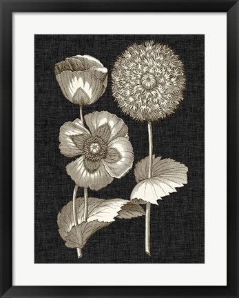 Framed Dramatic Chintz III Print