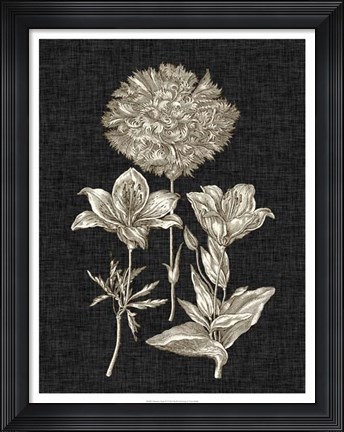 Framed Dramatic Chintz IV Print