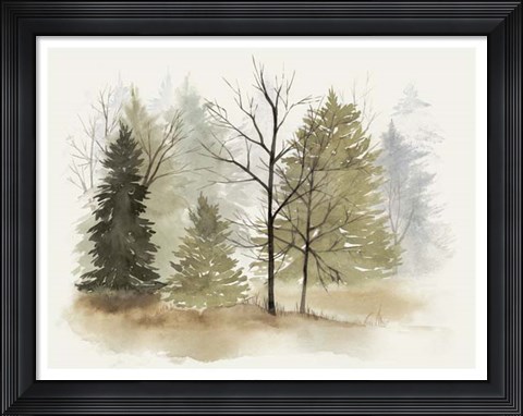 Framed In the Mist I Print