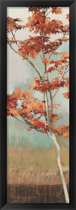 Framed Maple Tree I Print