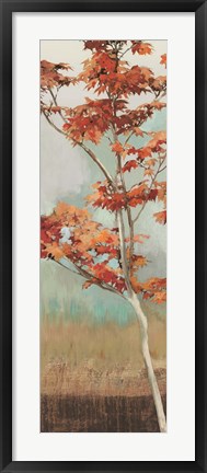 Framed Maple Tree I Print