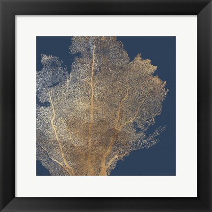 Framed Gold Coral I Print