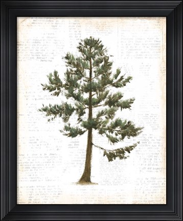Framed Into the Woods Trees I Print