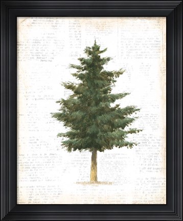 Framed Into the Woods Trees II Print