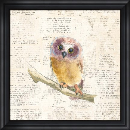 Framed Into the Woods II Print