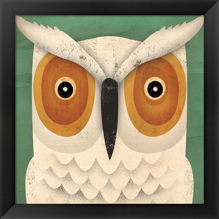 Framed White Owl Print