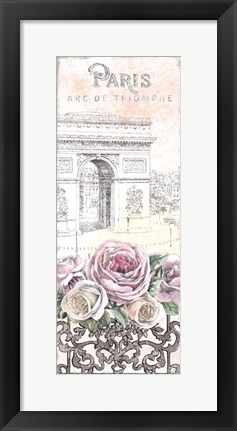 Framed Paris Roses Panel VII Print