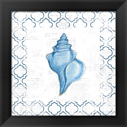 Framed Navy Conch Shell on Newsprint Print