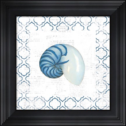 Framed Navy Nautilus Shell on Newsprint Print