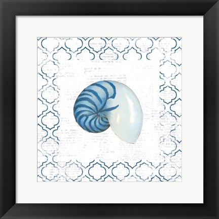 Framed Navy Nautilus Shell on Newsprint Print