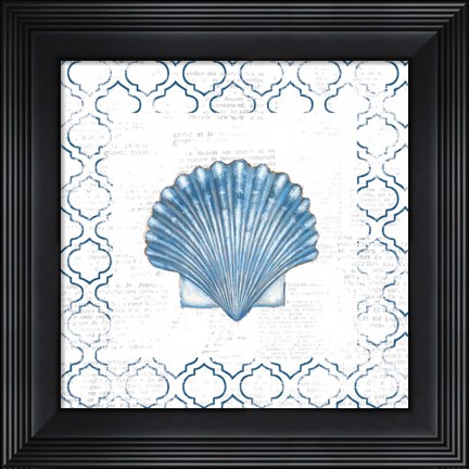 Framed Navy Scallop Shell on Newsprint Print