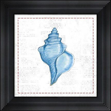 Framed Navy Conch Shell on Newsprint with Red Print