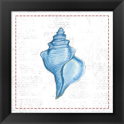 Framed Navy Conch Shell on Newsprint with Red Print