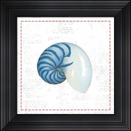 Framed Navy Nautilus Shell on Newsprint with Red Print