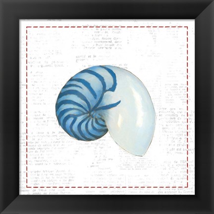 Framed Navy Nautilus Shell on Newsprint with Red Print