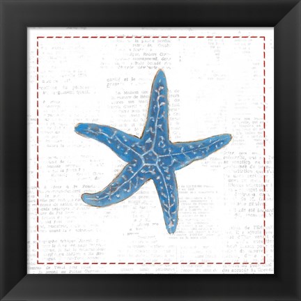 Framed Navy Starfish on Newsprint with Red Print