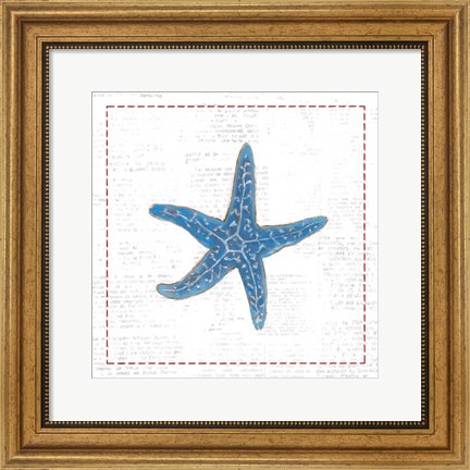Framed Navy Starfish on Newsprint with Red Print