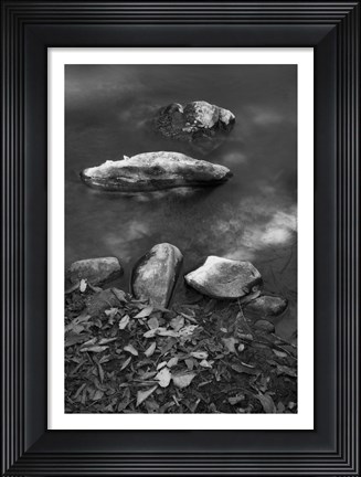 Framed Caudales Print