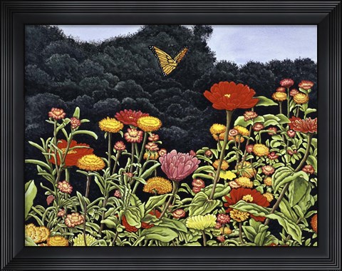 Framed Butterfly Print