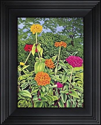 Framed Zinnias Print